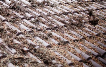 Altamuskin roof cleaning companies